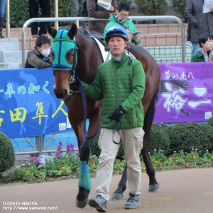 デビュー戦のヤマニンルバンシュ