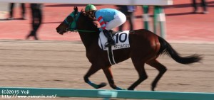 デビュー戦のヤマニンルバンシュ