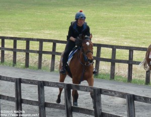 育成時代のヤマニンロードンと川瀬君