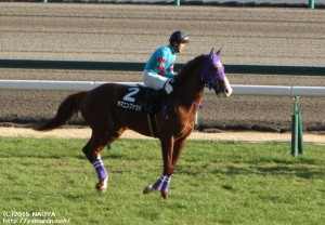 中京スポニチ賞・ヤマニンファラオ
