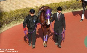 中京スポニチ賞・ヤマニンファラオ