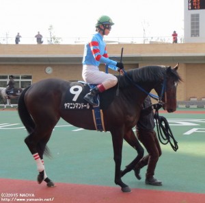なずな賞・ヤマニンマンドールと田中健騎手