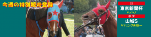 今週の特別競走登録・ハノハノとヤマニンプチガトー