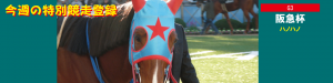 今週の特別競走登録・ハノハノ