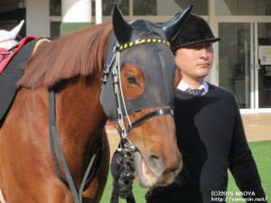 アクアマリンSのヤマニンプチガトー