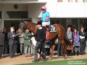 アクアマリンSのヤマニンプチガトーと竹之下騎手