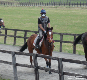 育成時代のヤマニンクラケット
