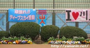 久々に応援幕(通称: 褌)