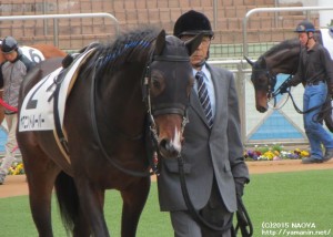 ３歳未勝利のヤマニントルーパー
