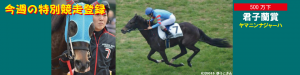 今週の特別競走登録・ヤマニンナジャーハ