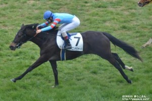 ヤマニンナジャーハ