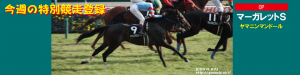 今週の特別競走登録・ヤマニンマンドール