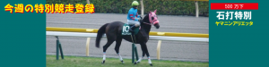 今週の特別競走登録・ヤマニンアリエッタ