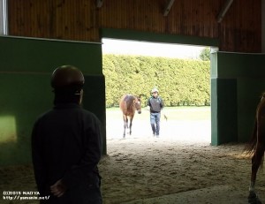 ジャスタウェイ登場
