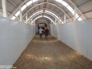 社台SS・地下道で