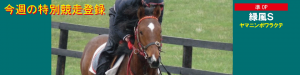 今週の特別競走登録・ヤマニンボワラクテ