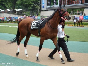 緑風S・ヤマニンボワラクテ