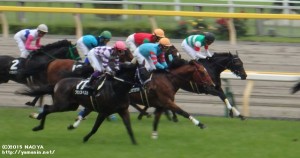 緑風Sの1週目・ヤマニンボワラクテ