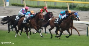 緑風Sの2週目・ヤマニンボワラクテ