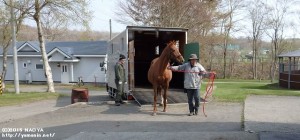 メルベイユ帰牧