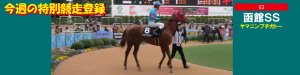 今週の特別競走登録・ヤマニンプチガトー