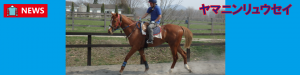 [News]ヤマニンリュウセイ