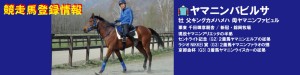競走馬登録・ヤマニンバビルサ