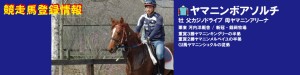 競走馬登録・ヤマニンボアソルチ