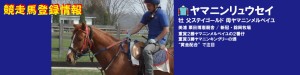 競走馬登録・ヤマニンリュウセイ