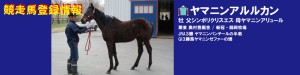 競走馬登録･ヤマニンアルルカン