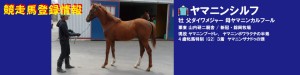 競走馬登録･ヤマニンシルフ