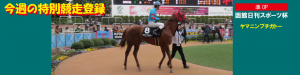 今週の特別競走登録・ヤマニンプチガトー