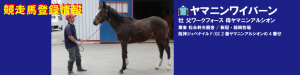 競走馬登録・ヤマニンワイバーン