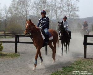 育成時代のヤマニンエトフと石井さん