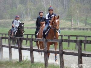 育成時代のヤマニンエトフと石井さん