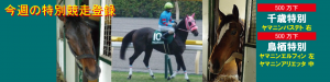 今週の特別競走登録・エルフィン、アリエッタ、バステト