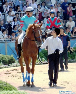 ヤマニンリュウセイ・デビュー戦のパドック