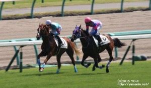 ヤマニンリュウセイ・レース1週目