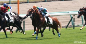 ヤマニンリュウセイ・ゴール前