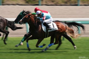 ヤマニンリュウセイ・ゴール前