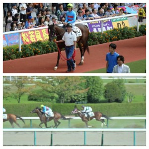 ２歳未勝利・ヤマニンラファール