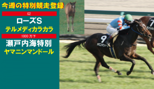 今週の特別競走登録・ヤマニンマンドール