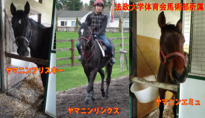 法政大学体育会馬術部・ヤマニン3騎
