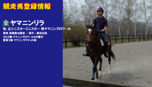 競走馬登録・ヤマニンリラ