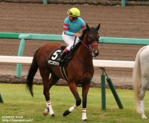 九十九里特別・本馬場入場のヤマニンボワラクテ