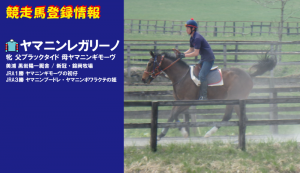 競走馬登録・ヤマニンレガリーノ