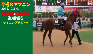 今週のヤマニン・ヤマニンプチガトー