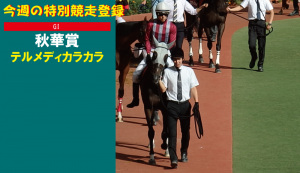 今週の特別競走登録・テルメディカラカラ