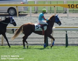 2歳未勝利･ヤマニンリュウセイ