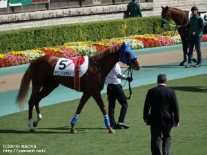 2歳未勝利･ヤマニンリュウセイ